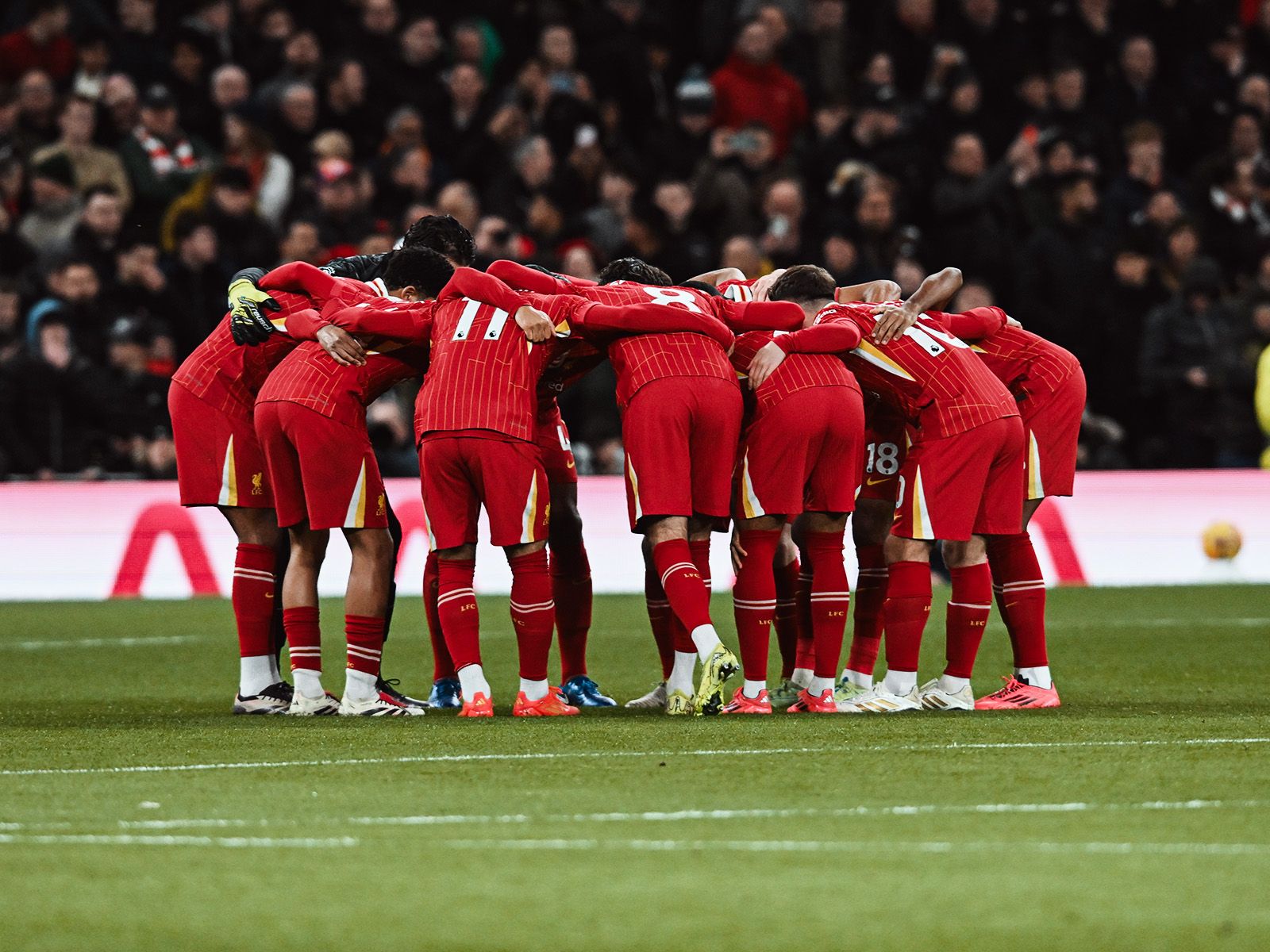 难度极高 难度极高